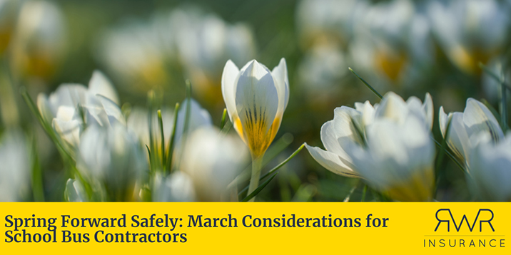 a close-up, shallow-depth-of-field photograph of white and yellow crocus flowers blooming in a field. Below the photo is a solid yellow banner with the title "Spring Forward Safely: March Considerations for School Bus Contractors" on the left and the "RWR Insurance" logo on the right. - https://www.minnesotaschoolbusinsurance.com/